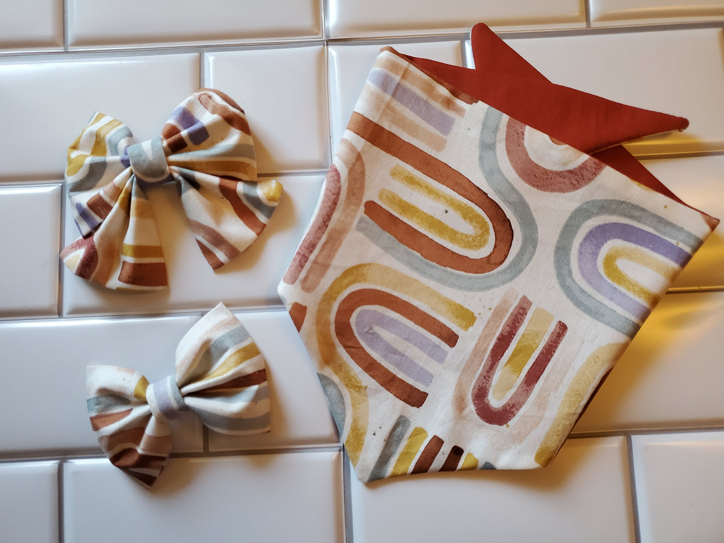 Rainbow Bandana and Bows