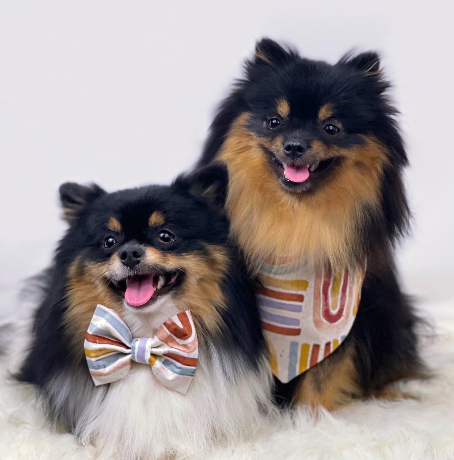 Rainbow Bandana and Bows